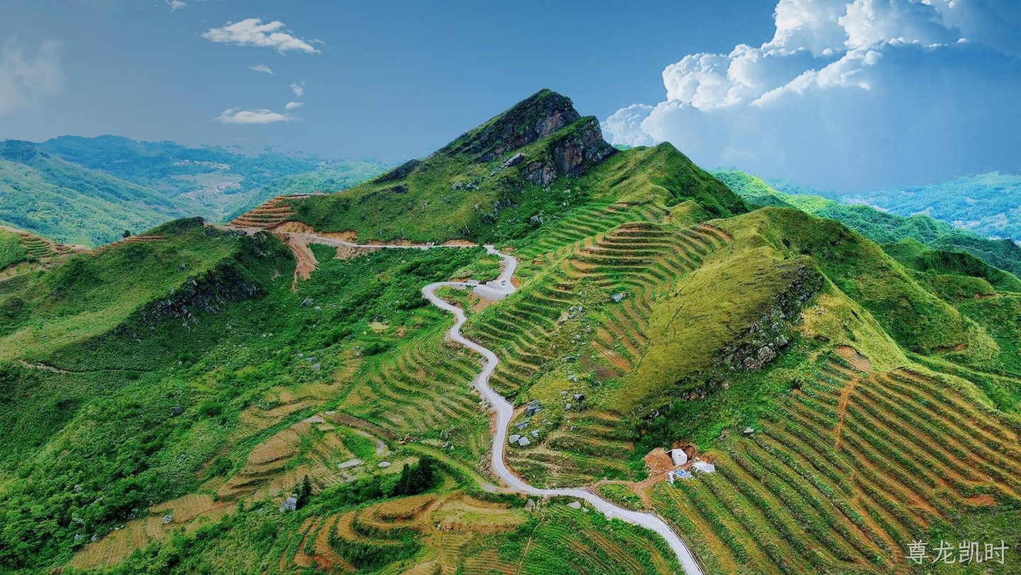 贵州尊龙凯时农业科技有限公司